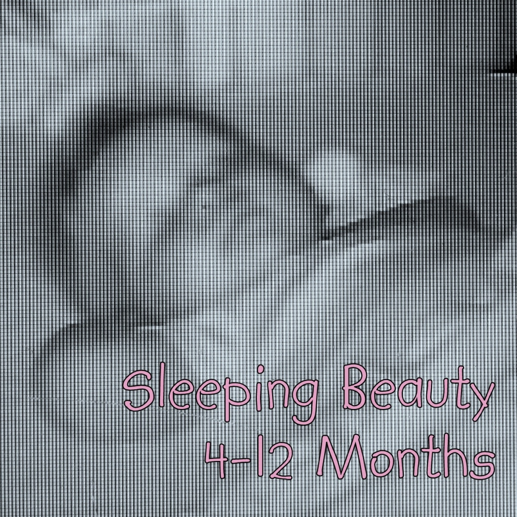 Sleeping Beauty Part 2 Update