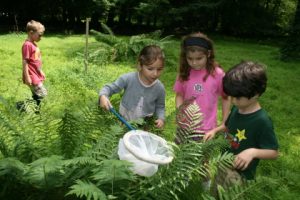 Milford Point Audubon Summer Camp