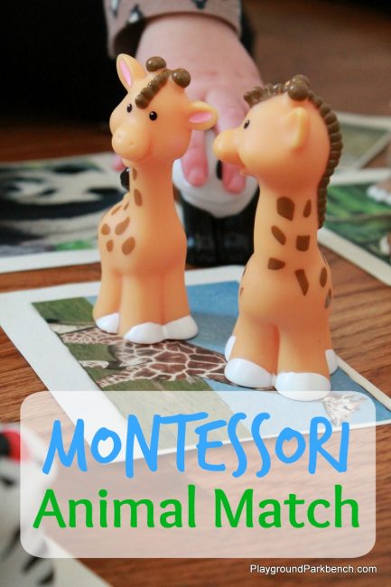 Montessori Animal Match
