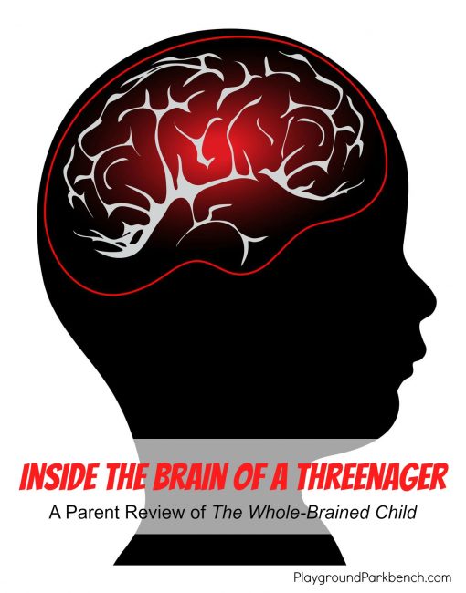 Brain of a Threenager