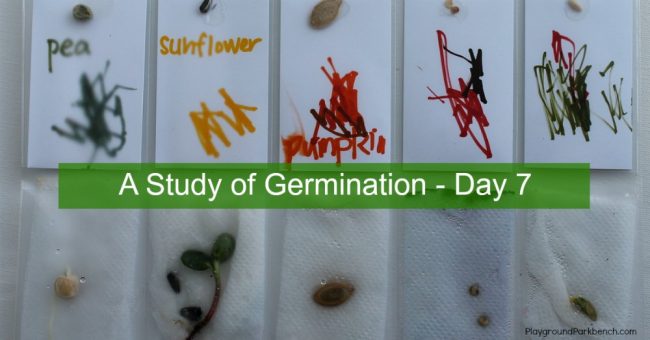 Germination Study