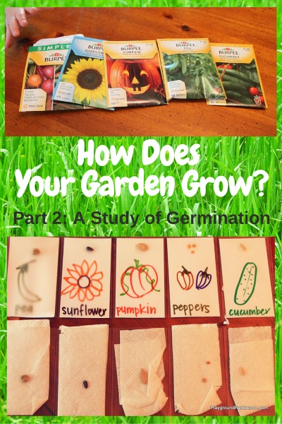 How Does Your Garden Grow_