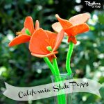 California State Poppy 300X300