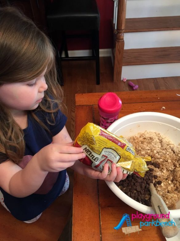 Coconut Cookies Chocolate Chips