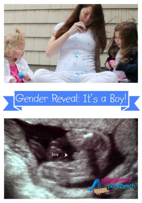 Gender Reveal - It's a Boy