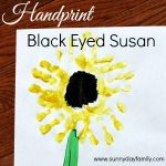 Maryland - Black-Eyed Susan