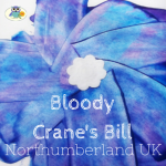 Northumberland UK Bloody Crane's Bill