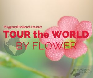 PGPB Tour the World by Flower
