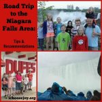 Road Trip to Niagara Falls area 300x300