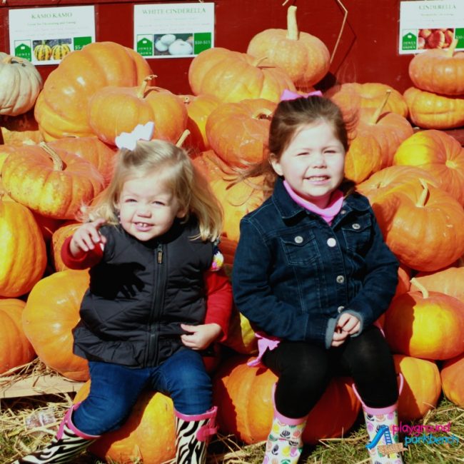 Pre-K Jack-o'-Lantern Matching Game - Visit to the Pumpkin Patch