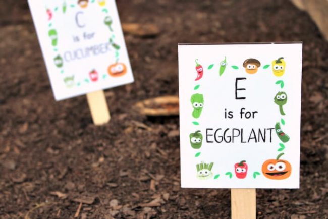 Top 10 Garden Markers for Earth Day