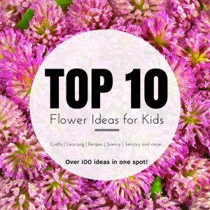 top 10 flower ideas for kids