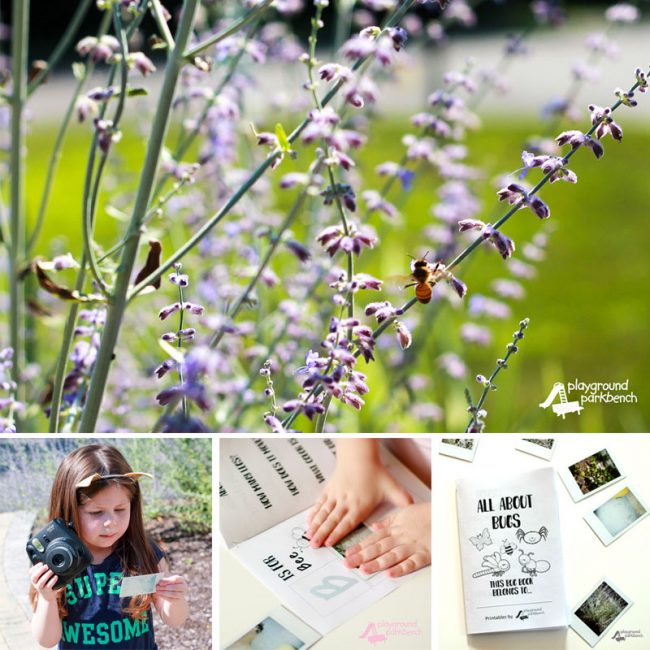 Science Activities for Preschoolers - Bug Hunt Collage