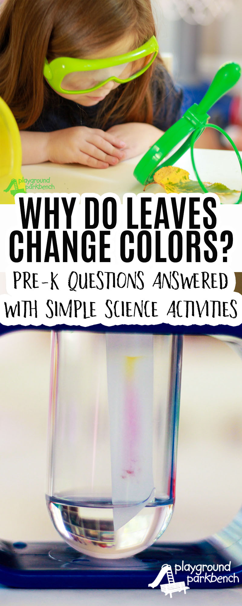 Learn the science behind Fall Leaves with this simple science activity for children. | STEM | STEAM | Science for Kids | Preschool STEM | Autumn | Why do leaves change color?