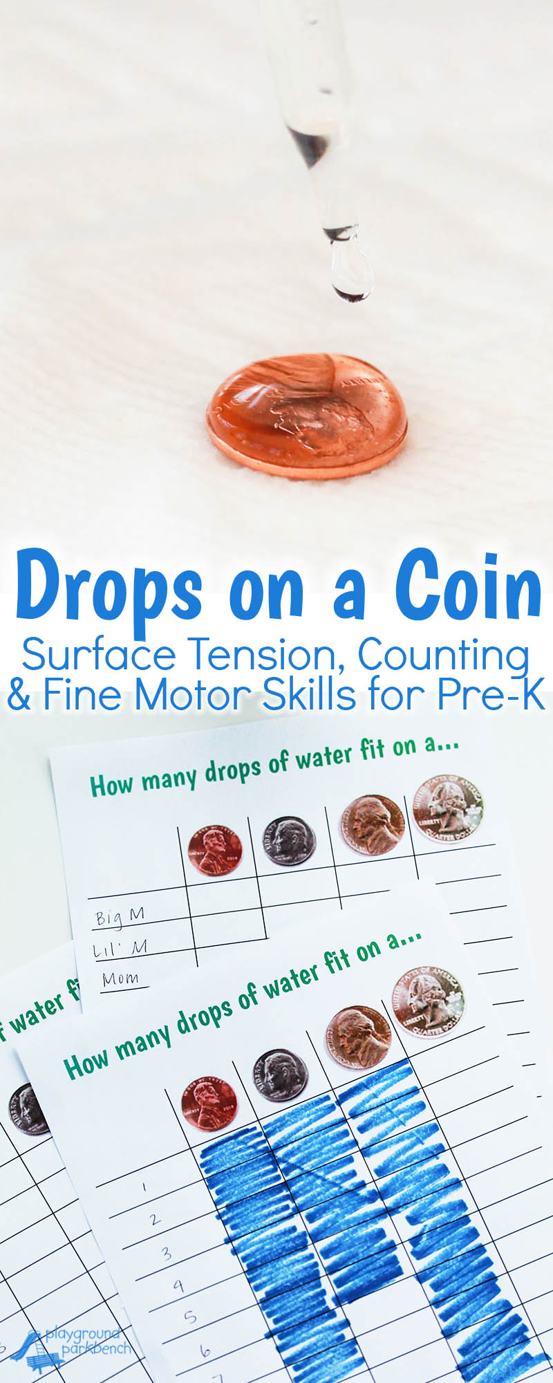 Quick and easy simple preschool STEM activities explores water, surface tension and coins, while challenging fine motor skills with an eye dropper. Free printable chart to record results as a class, trials by individual students or record results in a bar graph form. | Preschool | STEM | STEAM Kids | Science | Early Childhood Education | Kids Activities