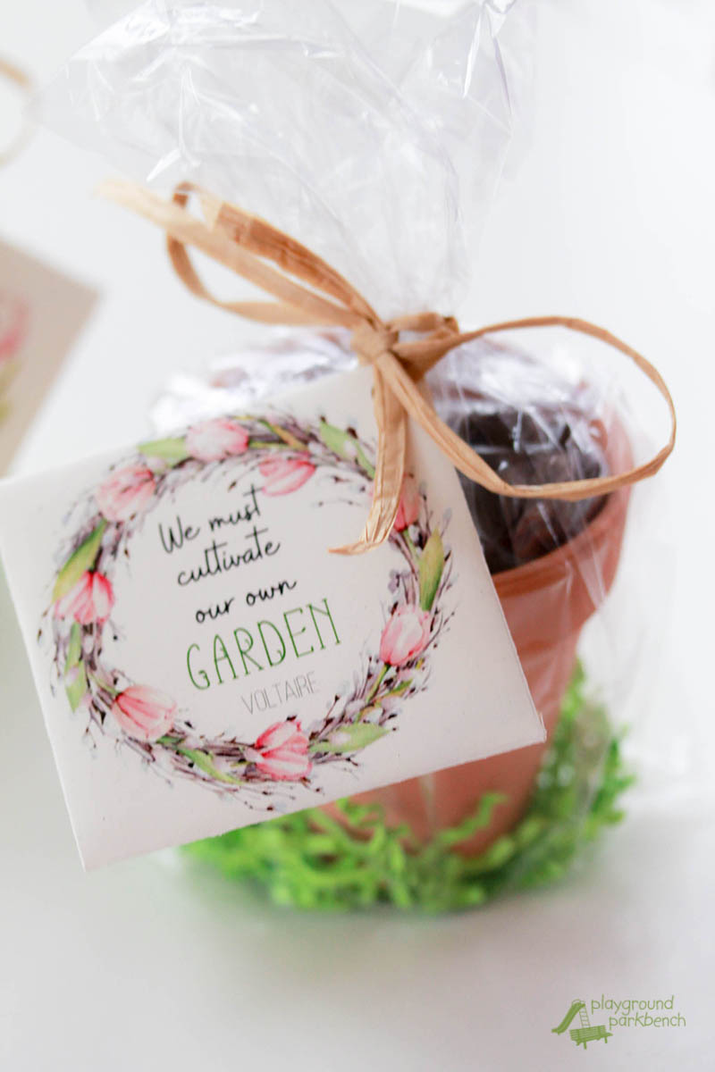 Celebrate the Easter season - give the gift of life with these DIY printable Easter seed packets. Package them with a tiny pot and dirt for a gift perfect for your Sunday school class, family Easter gathering or in your child's garden-theme Easter basket. Two sets of printables - Biblical or Secular | Gift Ideas | Gardening with Kids | Spring | Seeds | Printables |