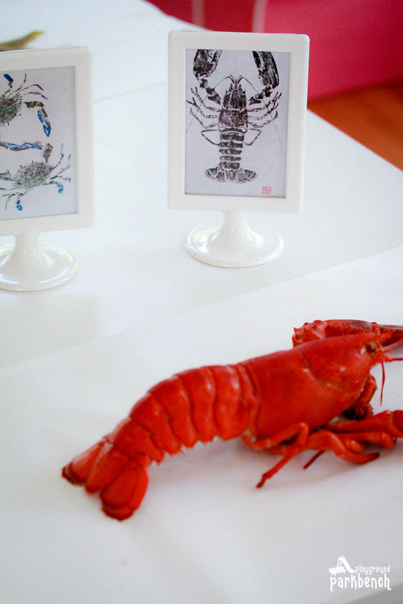 Lobster with Japanses fish art examples