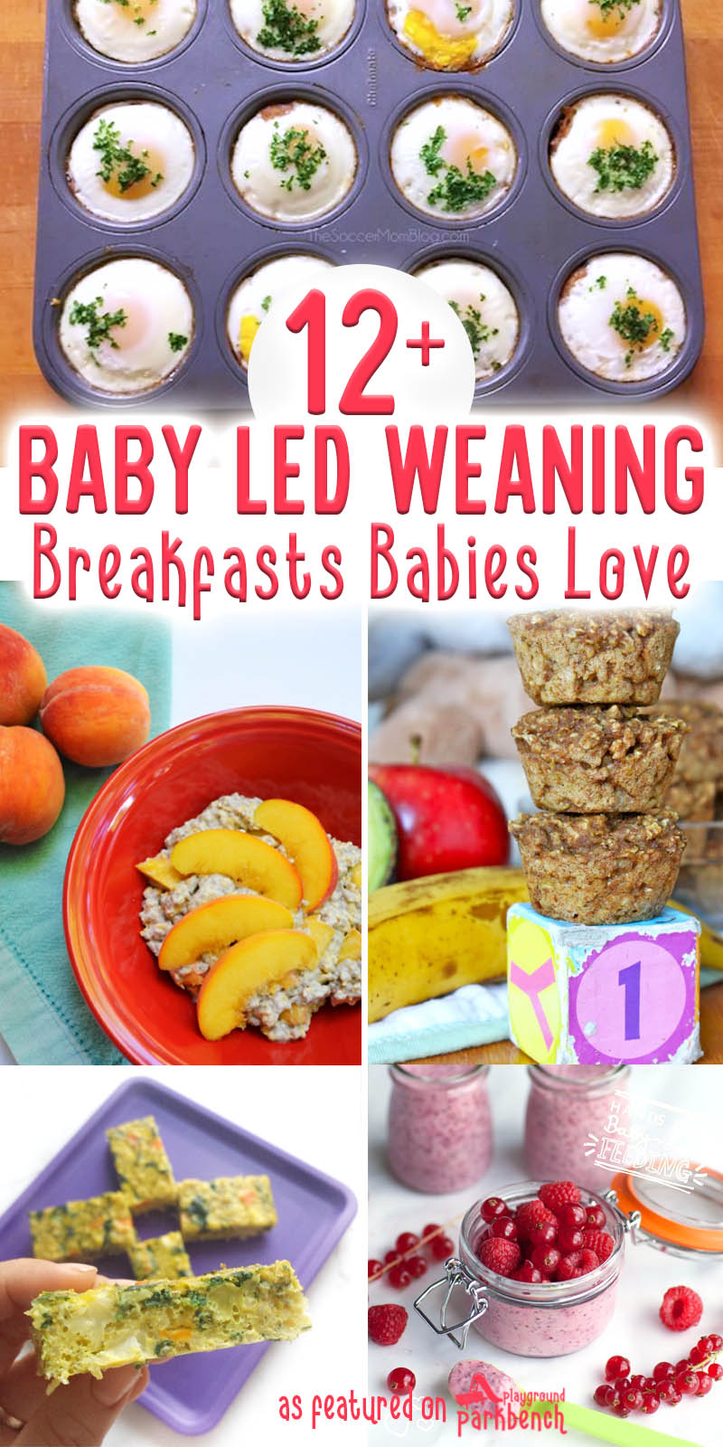 Start your baby on solid foods with real food! Here are 12+ baby led weaning breakfast ideas to get you started | #babyfood #blw #babyledweaning #recipes